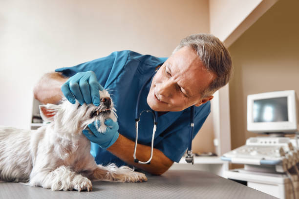 Best Dental Abscess Treatment in Chesapeake, OH